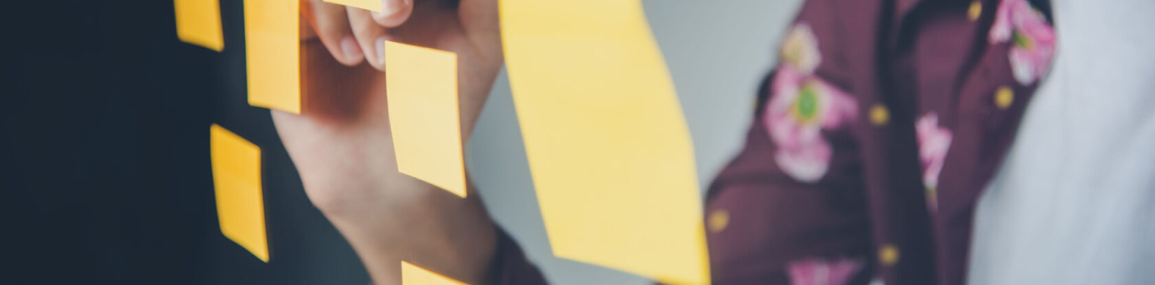 Centric Consulting Process Transformation